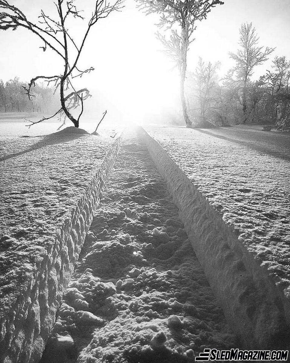 Bright Trails Ahead - Snowmobile - Snowmobiler