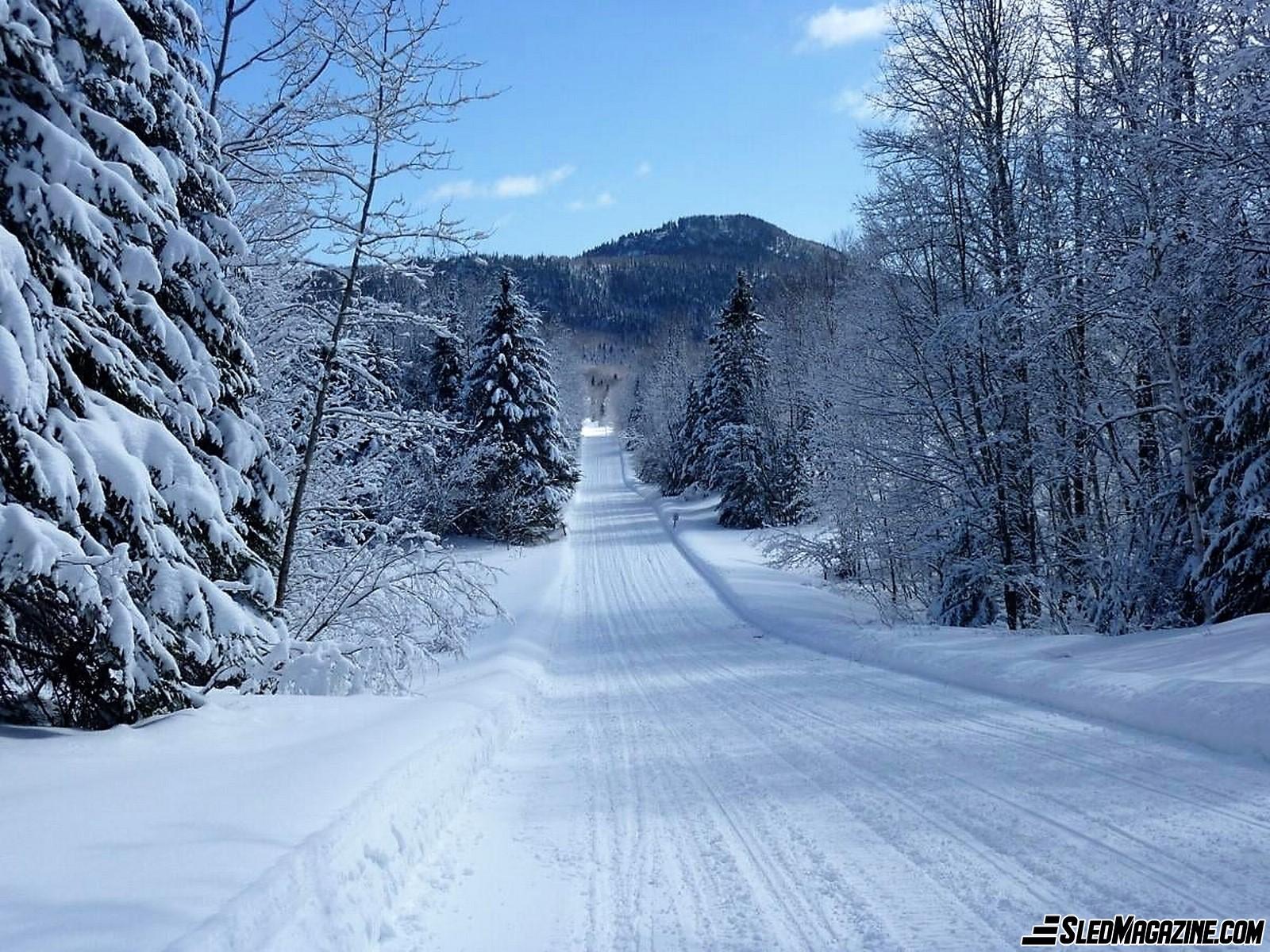 Bright Trails Ahead - Snowmobile - Snowmobiler